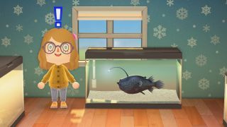 Animal Crossing: New Horizons fodboldfisk