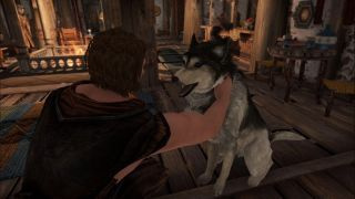 Skyrim aai de hond mod