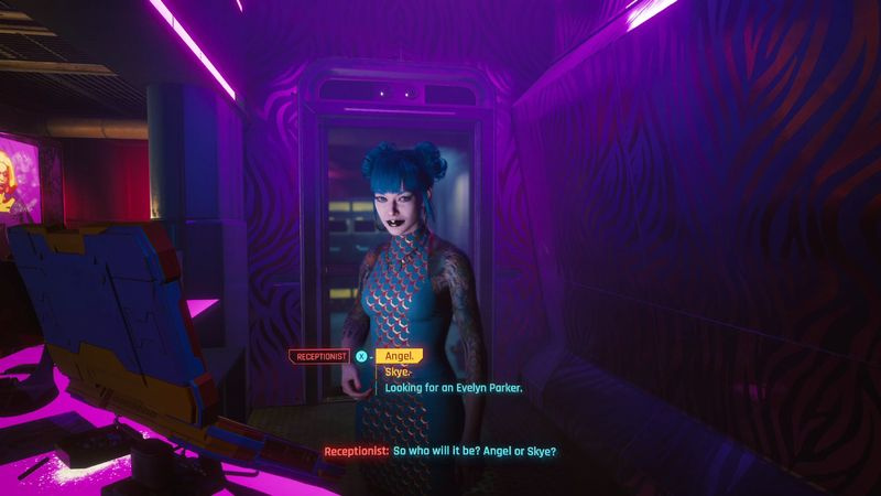Cyberpunk 2077 Angel or Skye