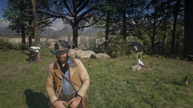 Red Dead Redemption 2 PC låga inställningar
