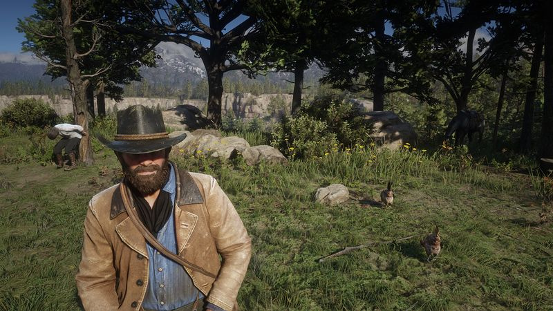 Red Dead Redemption 2 PC höga inställningar