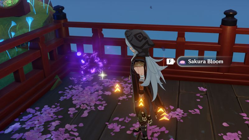genshin impatto sakura fiorisce