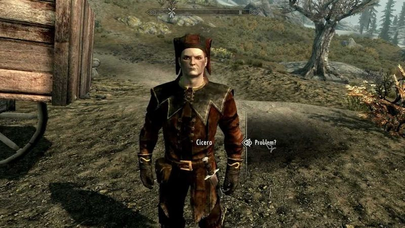 Skyrim-Begleiter: Cicero