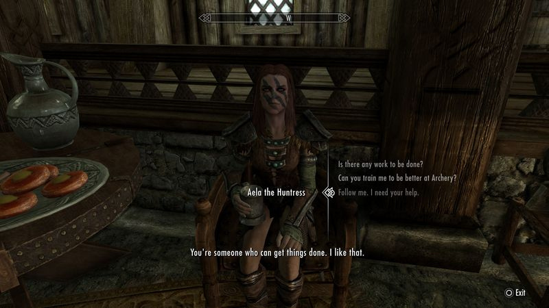 Skyrim-Begleiter: Aela
