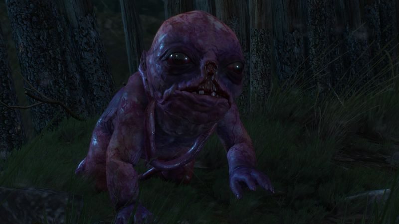 the Witcher 3-familien betyder noget galt