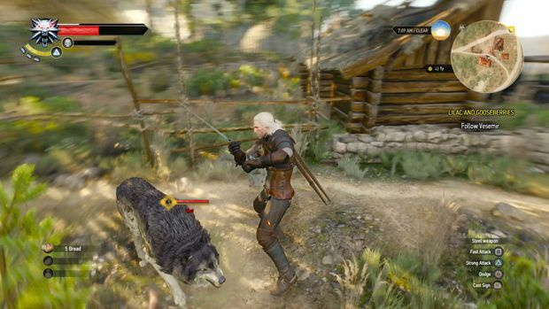 Witcher 3 vitaliteit