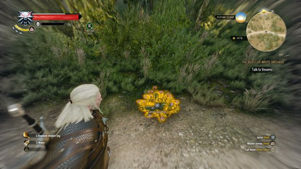 Witcher 3 buit