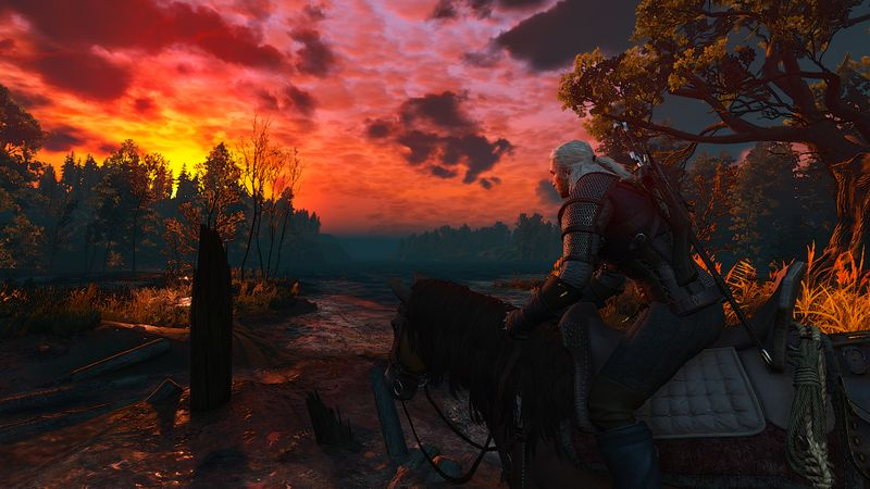Witcher 3 voorn