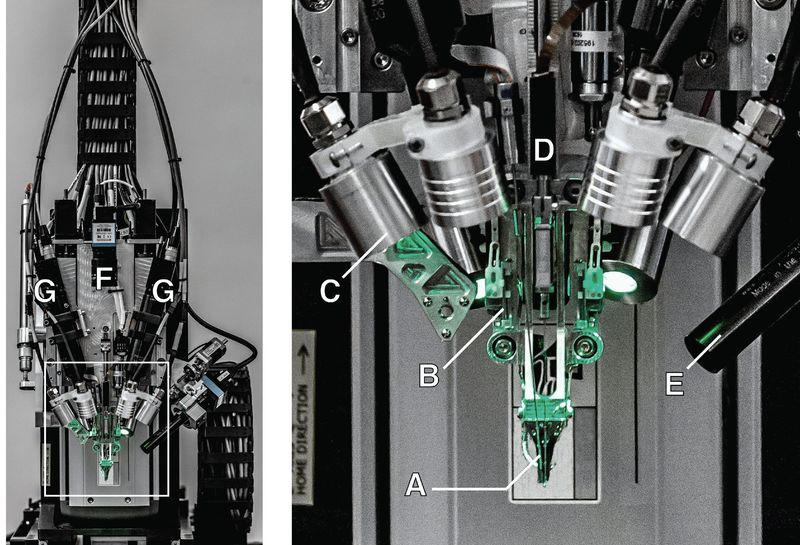 Abbildung 3 aus dem Neuralink-Whitepaper