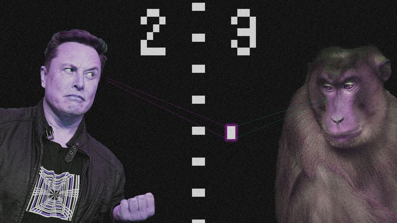 Elon spielt Pong gegen Affen
