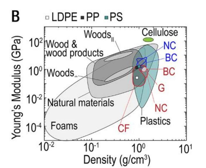 biocomposites