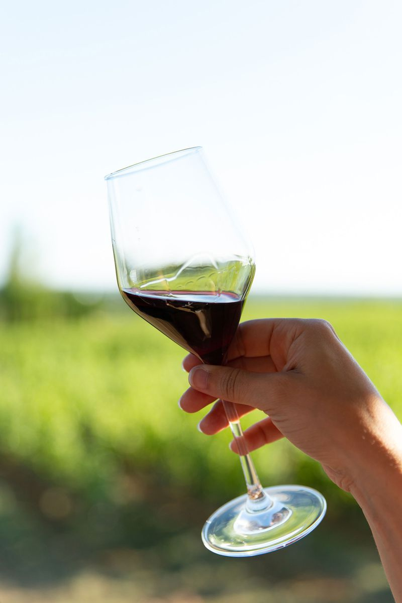 Hand, die ein Glas Rotwein hält