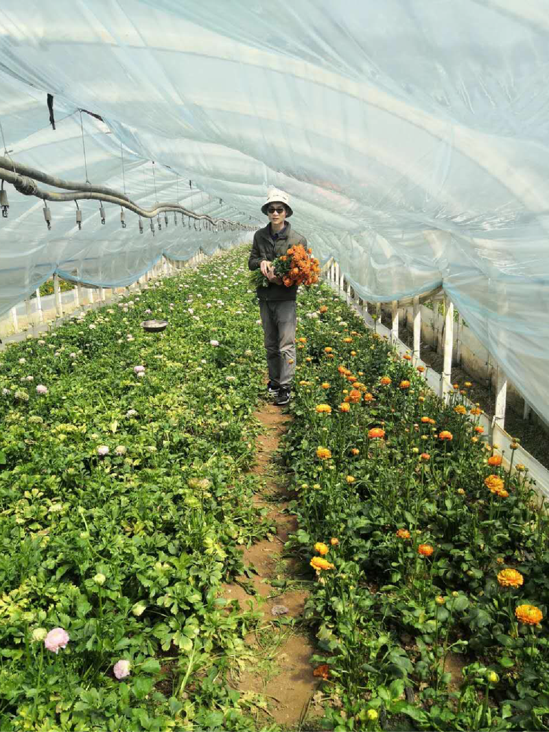 Li Jinxing in seiner Blumenfarm.