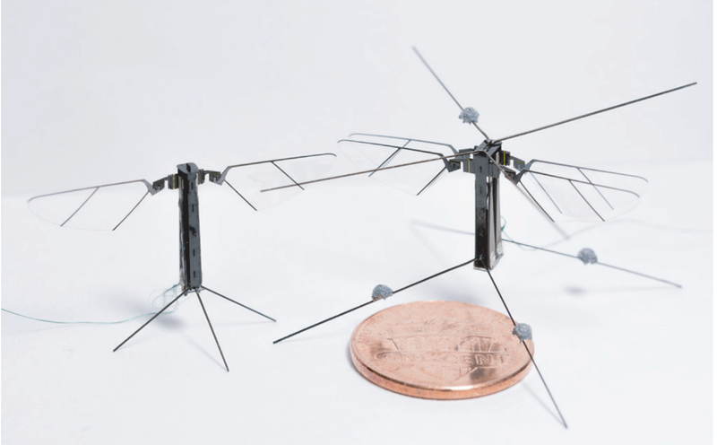 abeille robotique