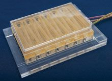 composante hépatique du projet physiome on a chip de la DARPA