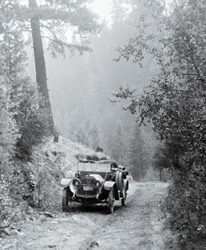 voiture dans les bois
