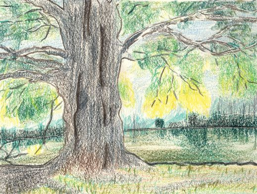 illustration d