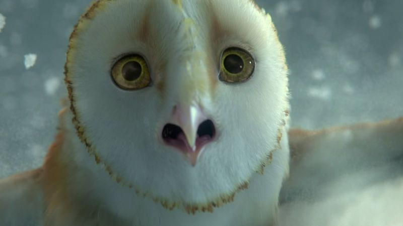 I migliori film di Zack Snyder