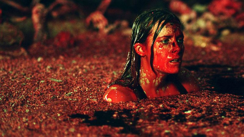 La discesa (2005)