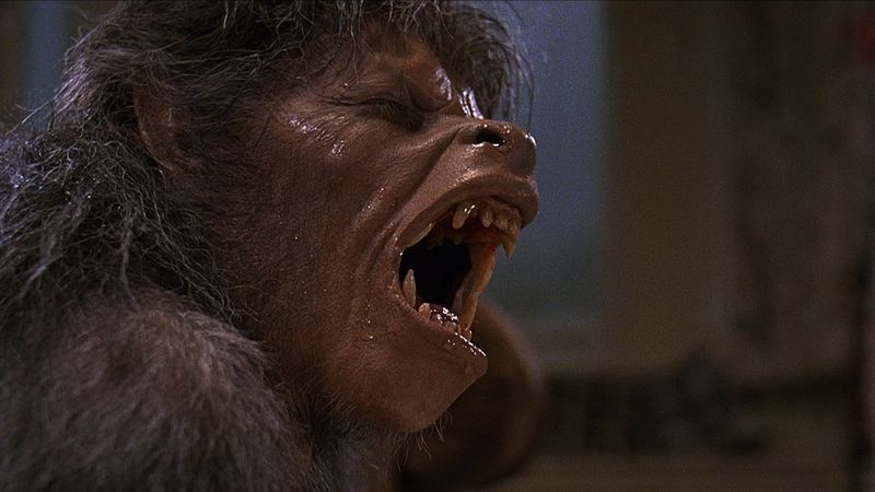 Un lupo mannaro americano a Londra (1981)