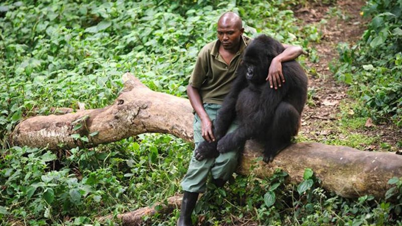Netflixin parhaat dokumentit - Virunga