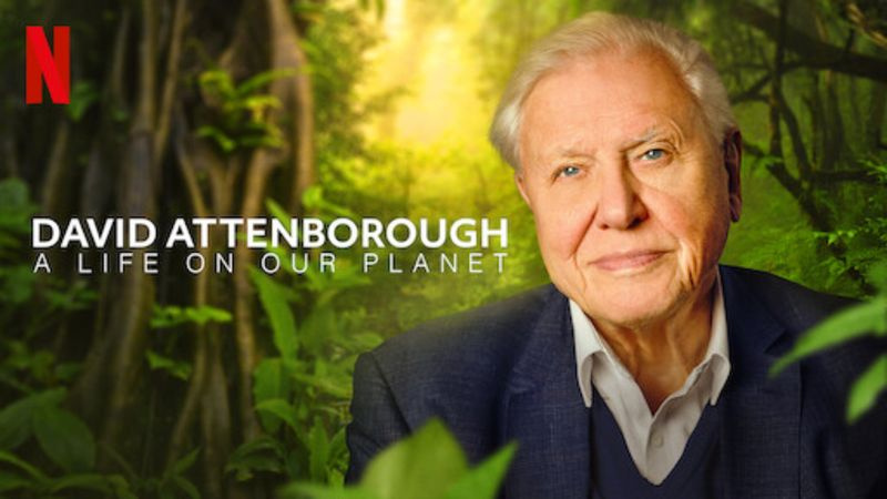 Parhaat dokumentit Netflixissä - David Attenborough: Elämä planeetallamme
