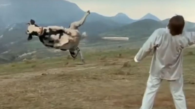 Kung Pow! Entra nel pugno