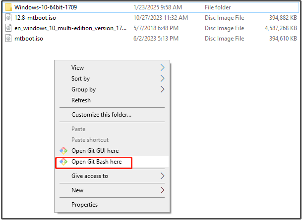 Open Git Bash hier