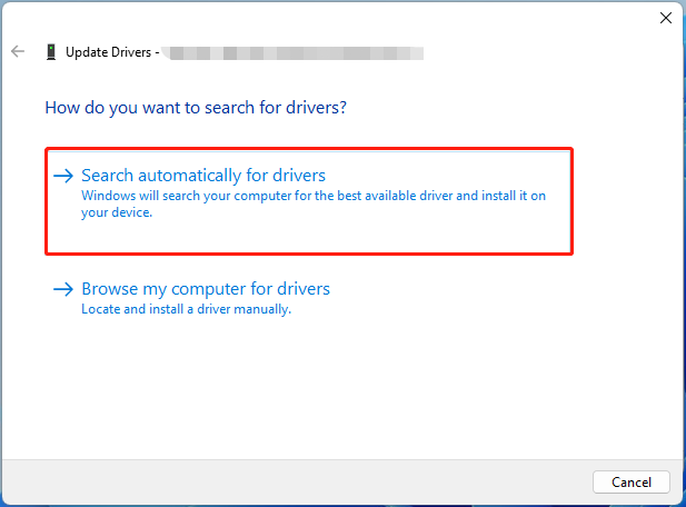   selezionare Cerca automaticamente i driver