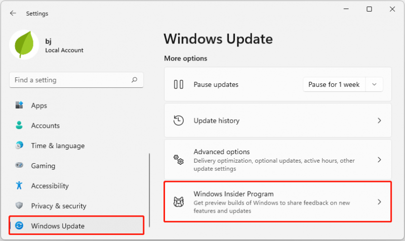   fare clic su Programma Windows Insider