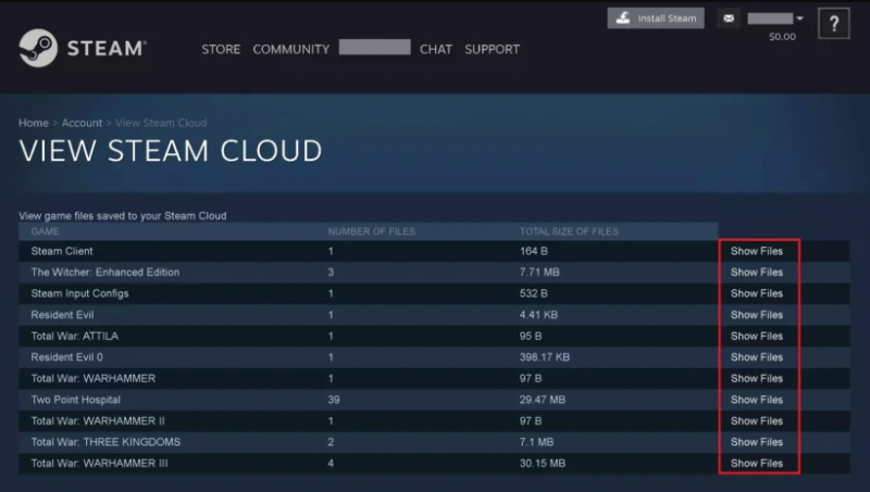 se Steam-skyen