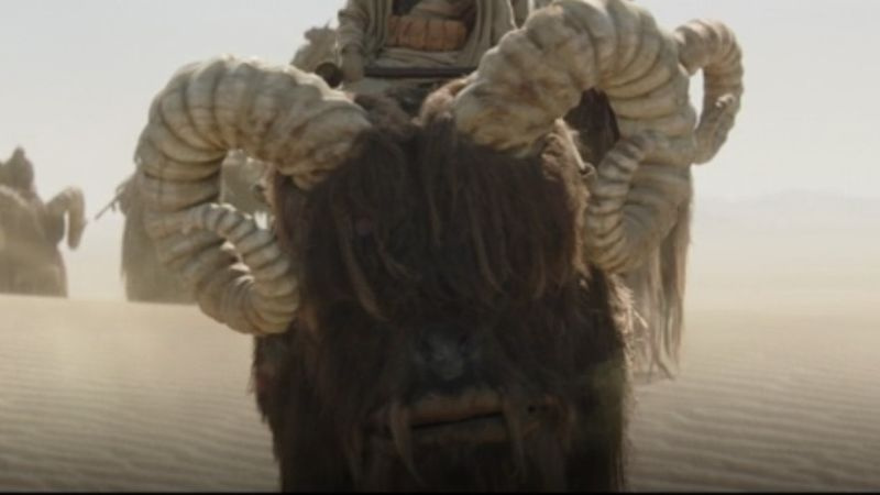 The Mandalorian säsong 2 påskägg