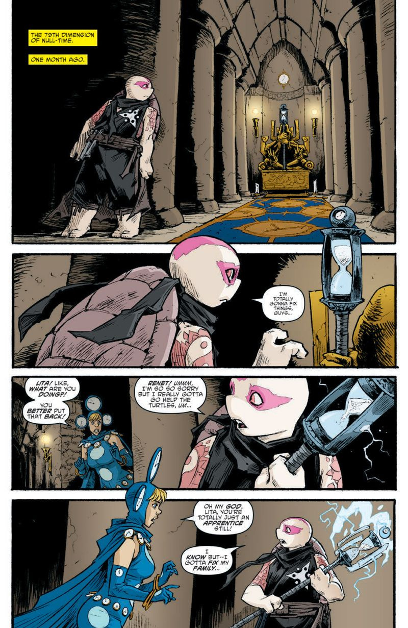 Teenage Mutant Ninja Turtles #113