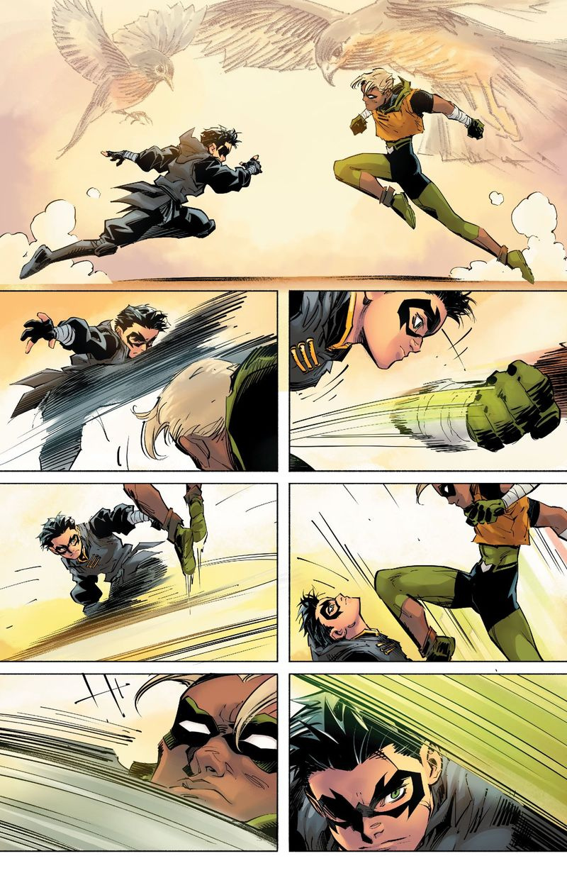 Robin #8
