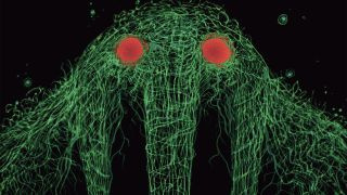 pagina uit Avengers: Curse of the Man-Thing #1