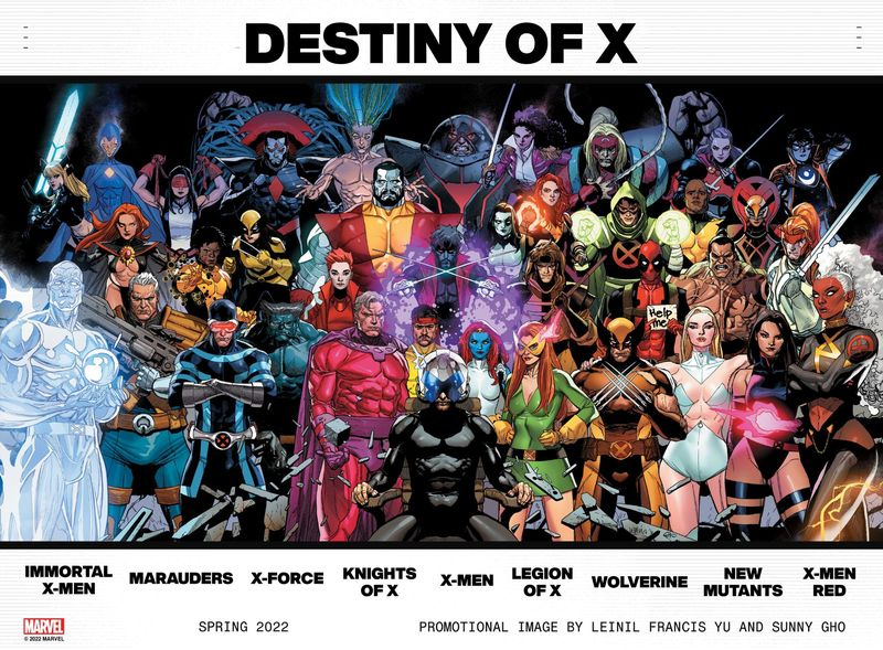 Il destino di X