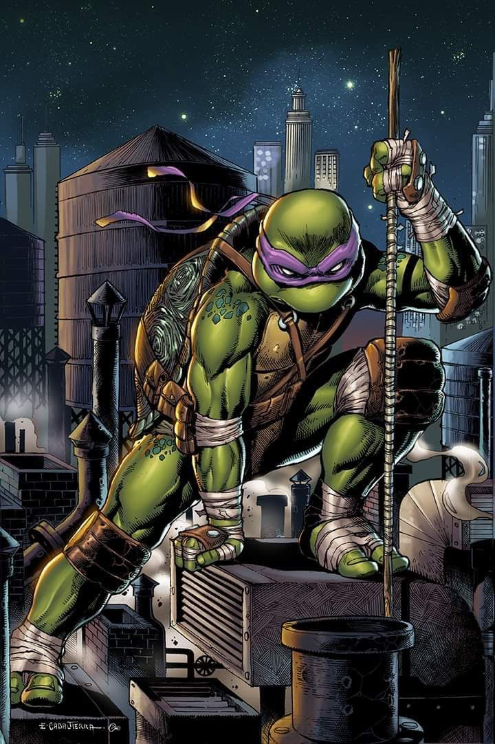 Teenage Mutant Ninja Turtles
