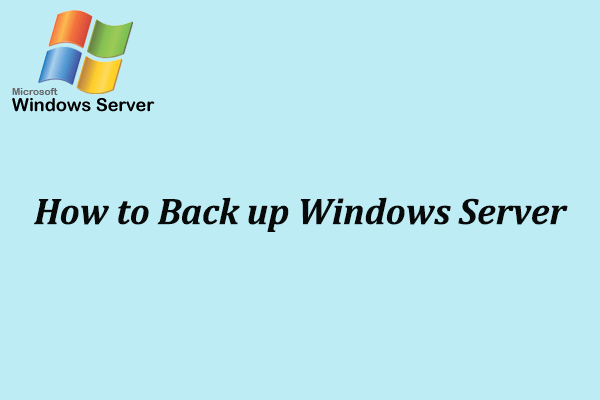 back-up serverminiatuur