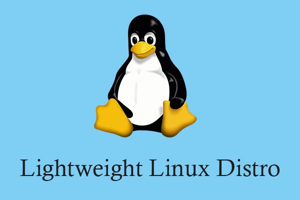vignette de distribution linux légère