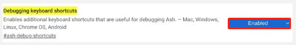 ota käyttöön Vianetsintä-pikanäppäimet Chrome