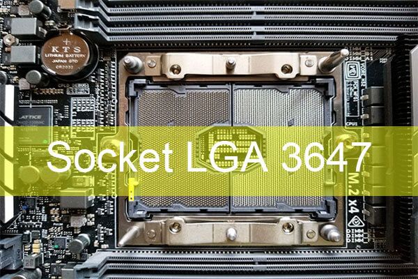 lga 3647