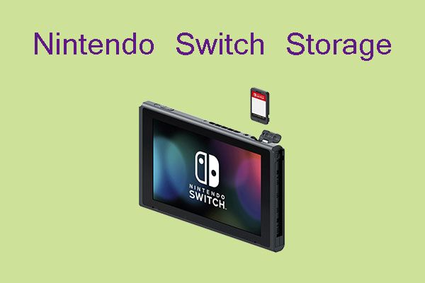 nintendo switch opslagminiatuur