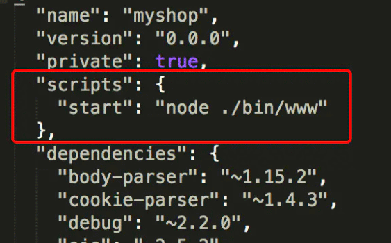 package.json-scripts starten