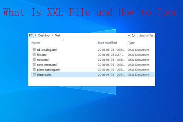 xml-fil thumbnail