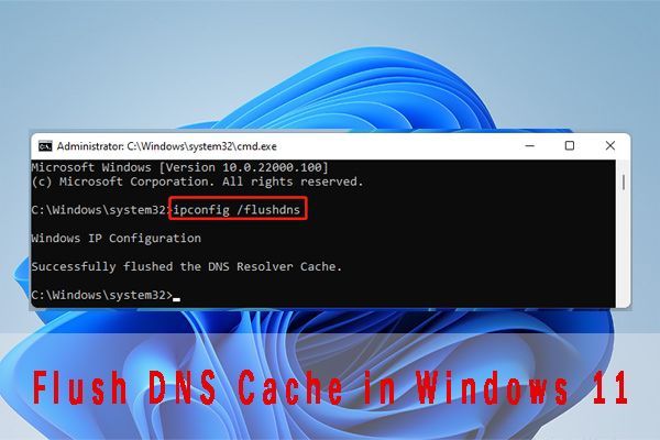 flush dns cache in win11 thumbnail