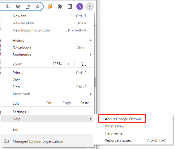 selecteer Over Google Chrome