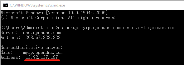 controleer het openbare IP-adres