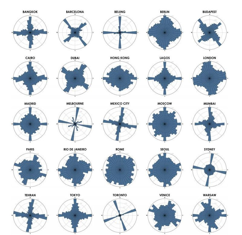 Rosendiagramme von 25 Städten