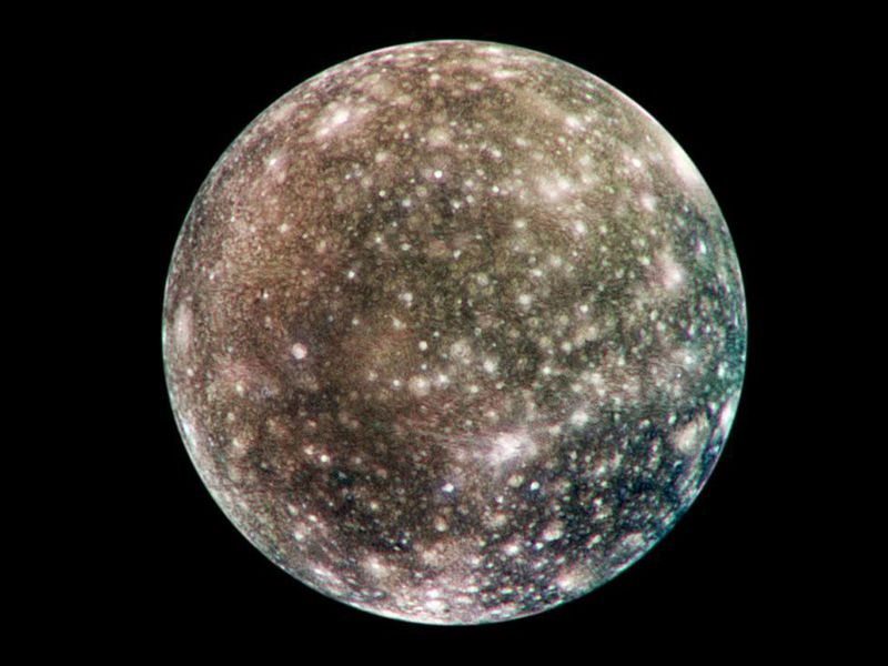 Calliste