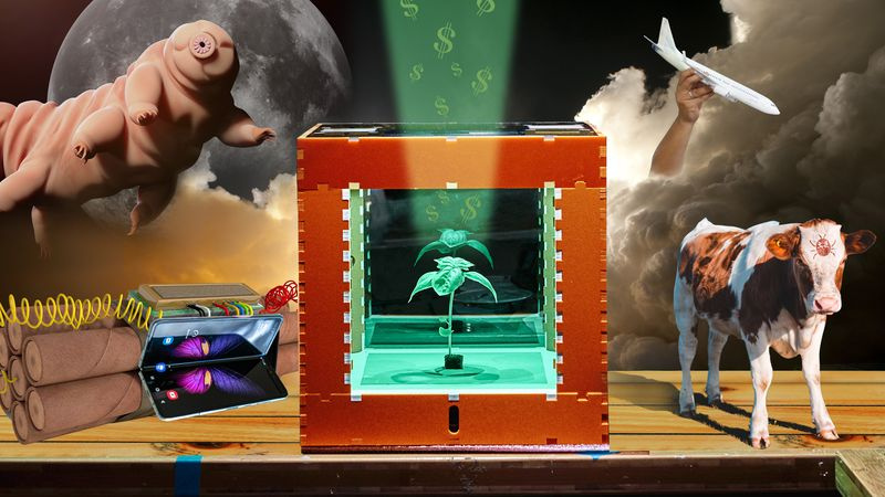 Die schlimmsten Fehler in der Technik von 2019